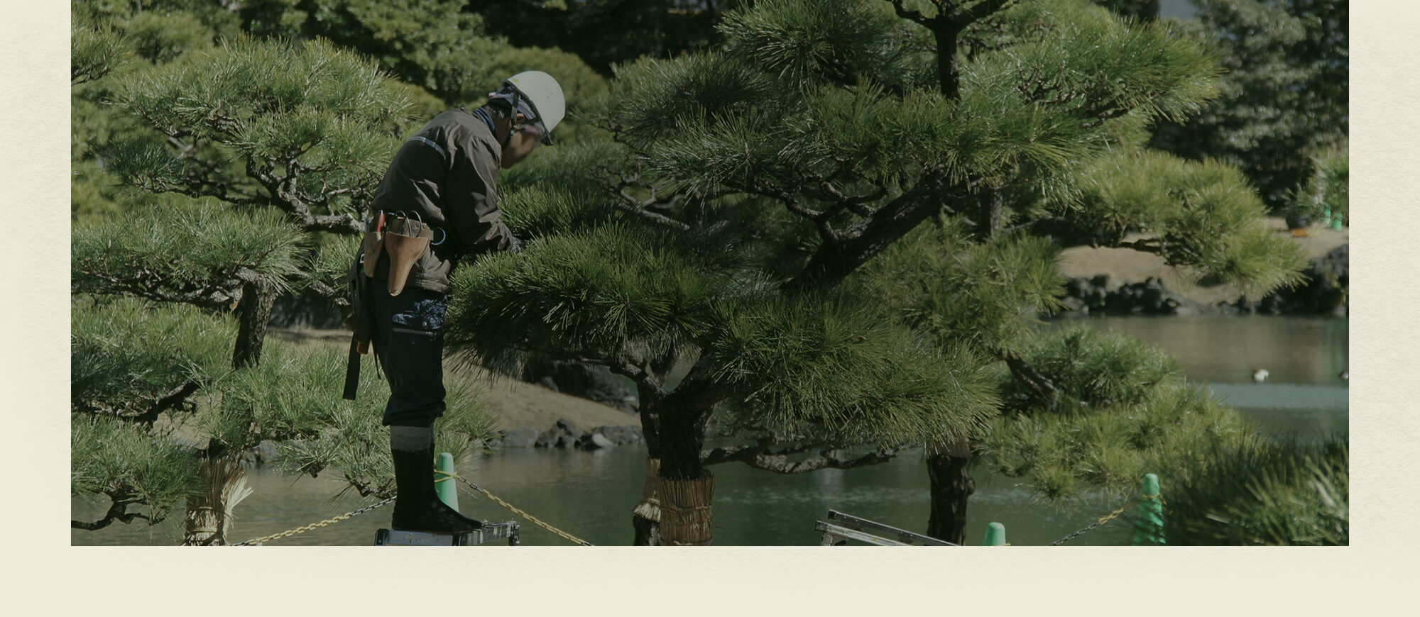 緑を紡ぎ、四季を彩る、匠の技。